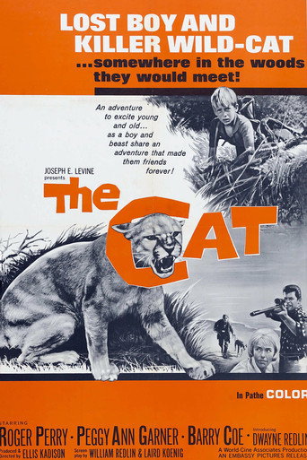 Cartel de The Cat