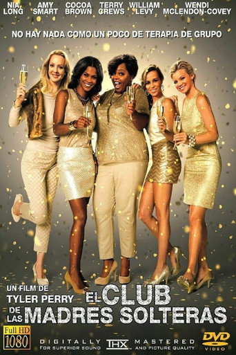 Cartel de The Single Moms Club
