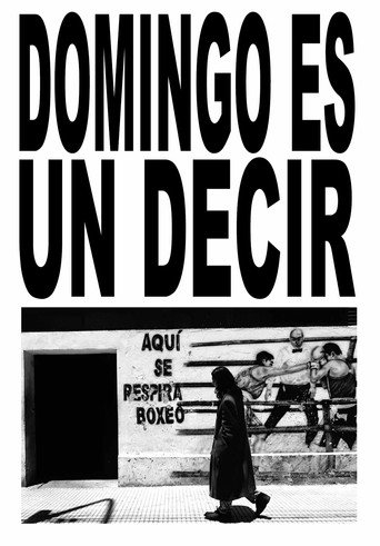 Cartel de Domingo es un decir