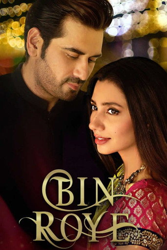 Cartel de Bin Roye