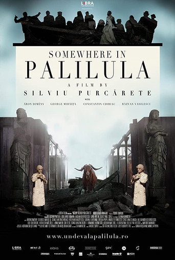 Cartel de Undeva la Palilula