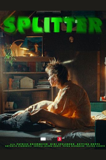 Cartel de Splitter