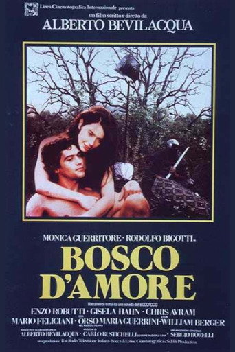 Cartel de Bosco d'amore