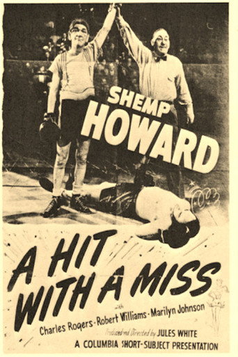 Cartel de A Hit with a Miss