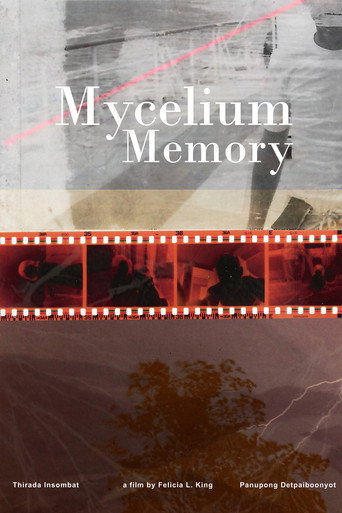 Cartel de Mycelium Memory