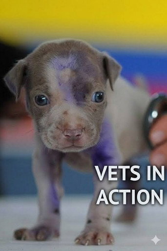Cartel de Vets In Action