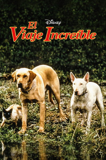 Cartel de El viaje increible