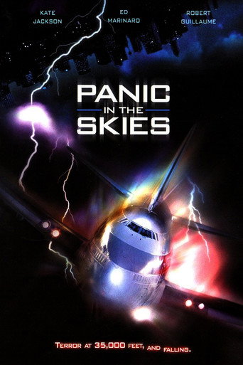 Cartel de Panic in the Skies!