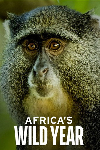 Cartel de Africa's Wild Year