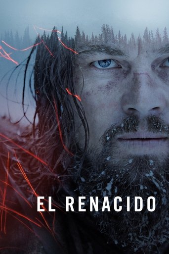 Cartel de El renacido