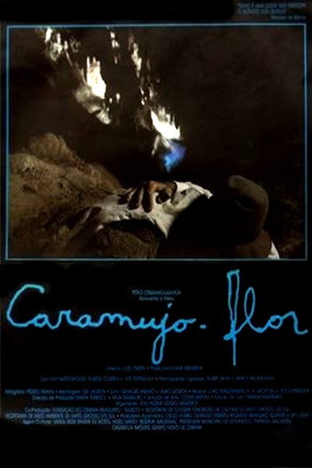 Cartel de Caramujo-Flor