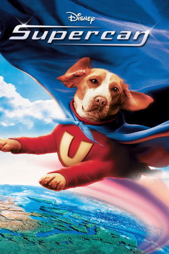 Cartel de Superdog