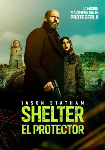Cartel de Shelter: El Protector