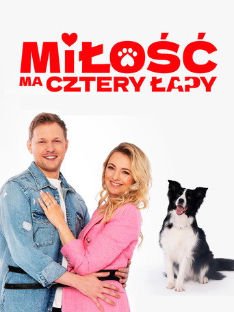 Cartel de Miłość ma cztery łapy