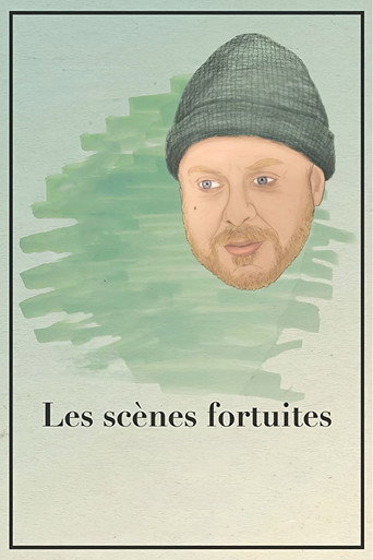 Cartel de Les scènes fortuites