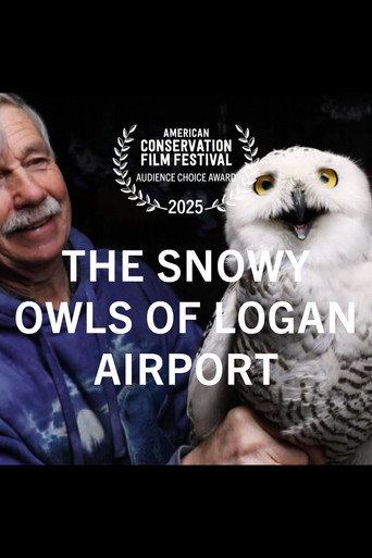 Cartel de The Snowy Owls of Logan Airport