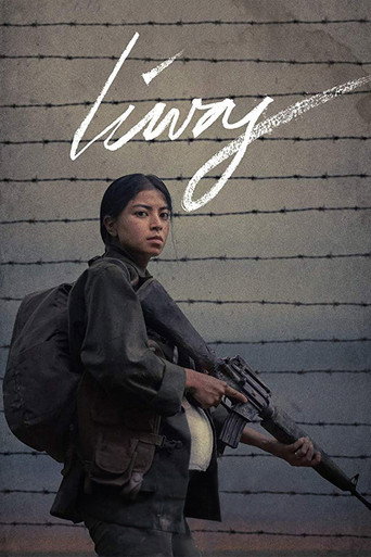 Cartel de Liway