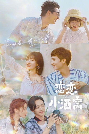 Cartel de 恋恋小酒窝