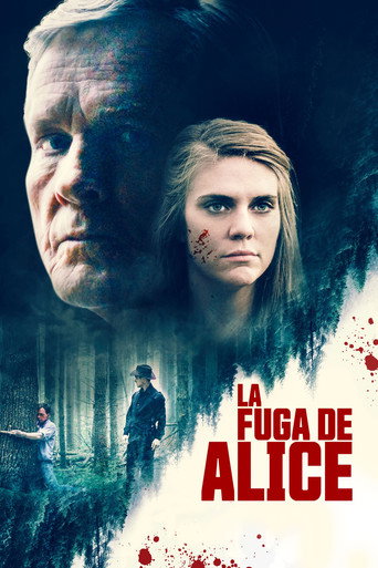 Cartel de Alice Fades Away