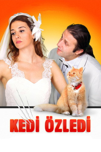 Cartel de Kedi Özledi