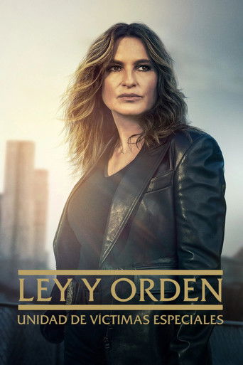 Cartel de Ley y orden: Unidad de Víctimas Especiales
