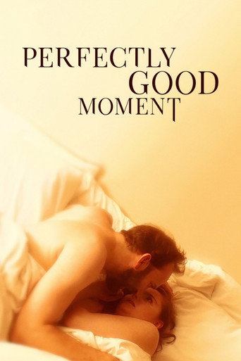 Cartel de Perfectly Good Moment
