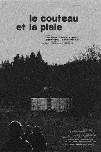 Cartel de Le Couteau et la Plaie