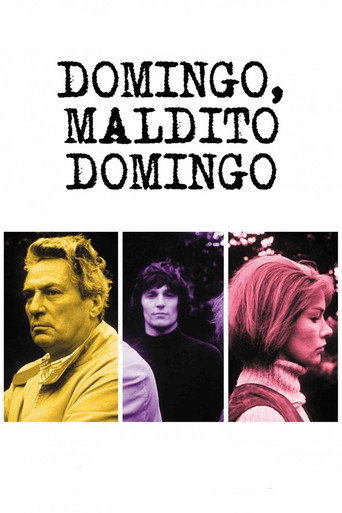 Cartel de Domingo, maldito domingo