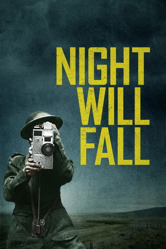 Cartel de Cuando caiga la noche
