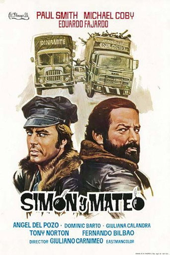 Cartel de Simon y Mateo