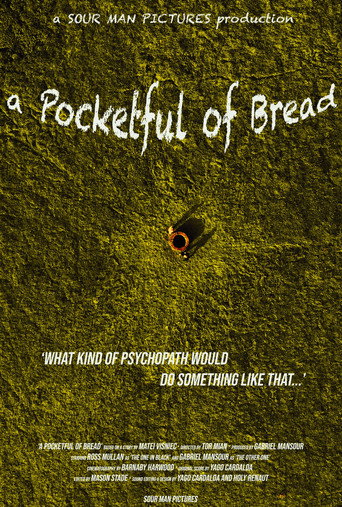 Cartel de A Pocketful of Bread