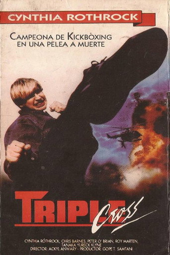 Cartel de Angel Of Fury