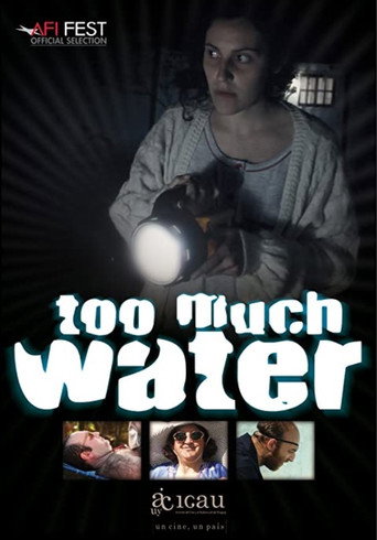 Cartel de Demasiada Agua