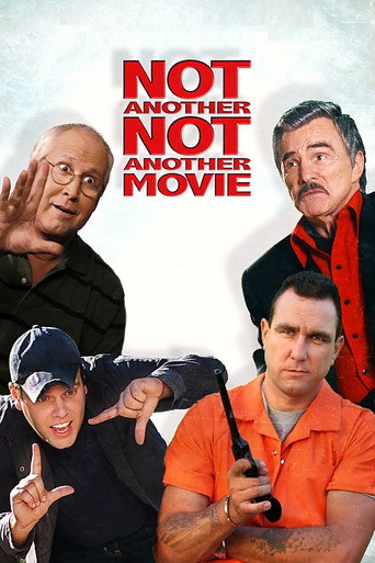 Cartel de No es otra estúpida parodia
