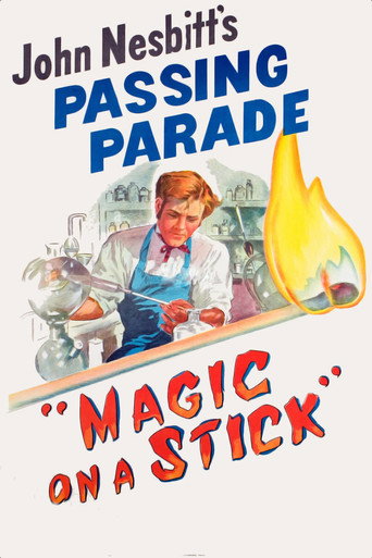 Cartel de Magic on a Stick