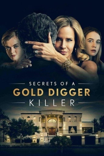Cartel de Los secretos de la viuda negra