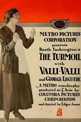 Cartel de The Turmoil
