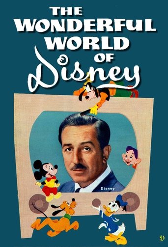 Cartel de The Wonderful World of Disney