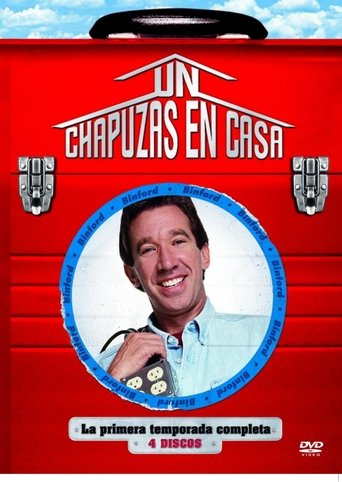 Cartel de Un chapuzas en casa