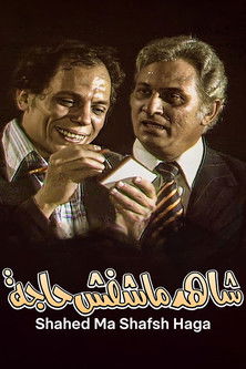Cartel de The Fake Witness