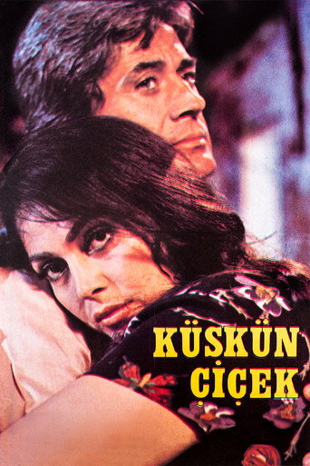 Cartel de Küskün Çiçek