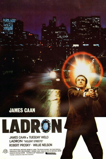 Cartel de Ladrón