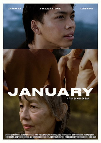 Cartel de JANUARY