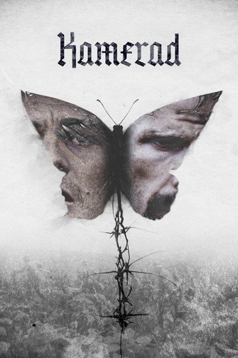 Cartel de Kamerad