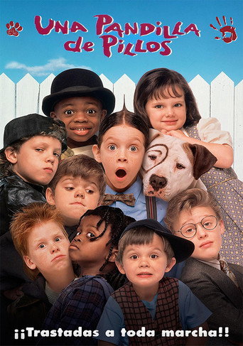 Cartel de Una pandilla de pillos