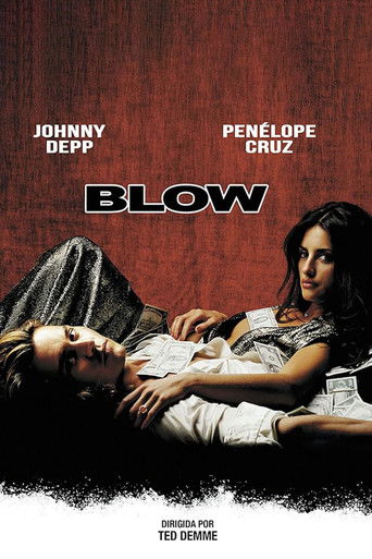 Cartel de Blow