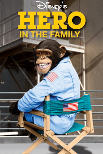 Cartel de Hero in the Family