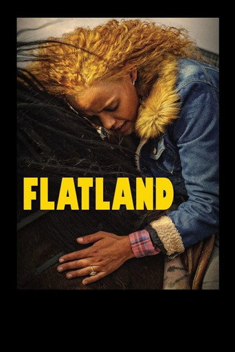 Cartel de Flatland
