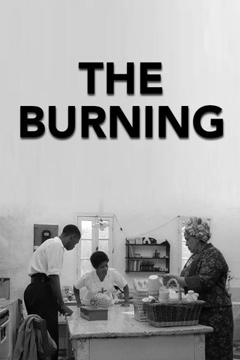 Cartel de The Burning