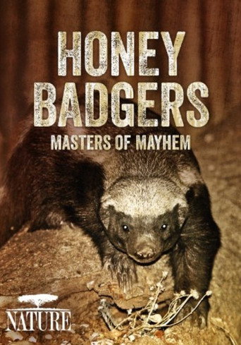 Cartel de Honey Badgers: Masters of Mayhem